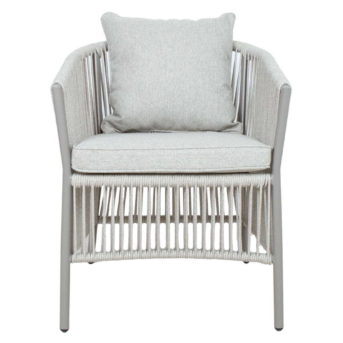 Tool SILVA hallikasbeež - Image 3