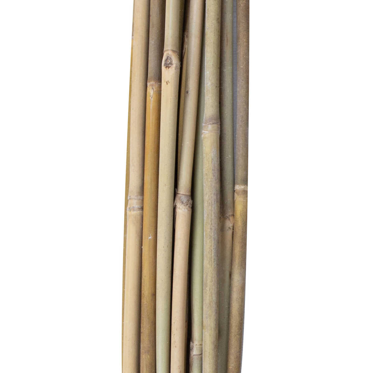 Bambuskepid IN GARDEN H120cm 20tk D8/10m - Image 3