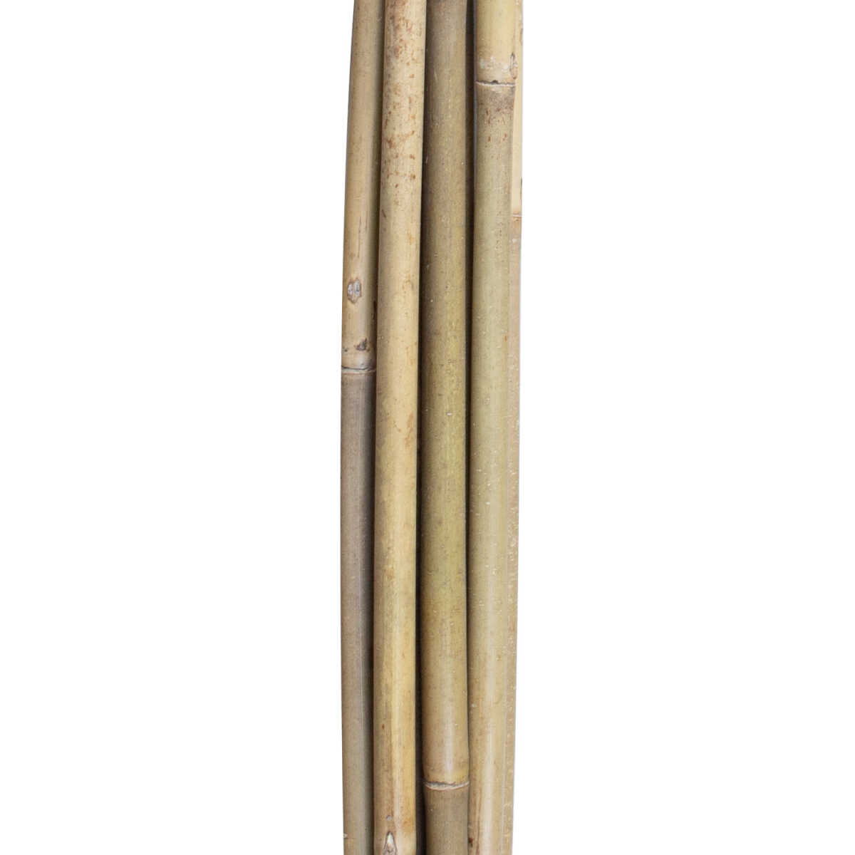 Bambuskepid IN GARDEN H150cm 10tk D10/12 - Image 3