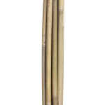 Bambuskepid IN GARDEN H150cm 10tk D10/12 - Image 3