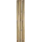 Bambuskepid IN GARDEN H180cm 10tk D12/14