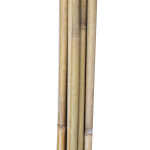 Bambuskepid IN GARDEN H180cm 10tk D12/14 - Image 3