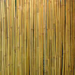 Rull bambusaed IN GARDEN 2x3m, D14/16mm