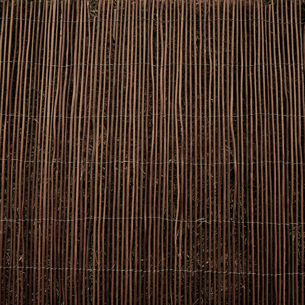 83917 Rull sõnajala aed IN GARDEN, 1 x 5m - Image 1