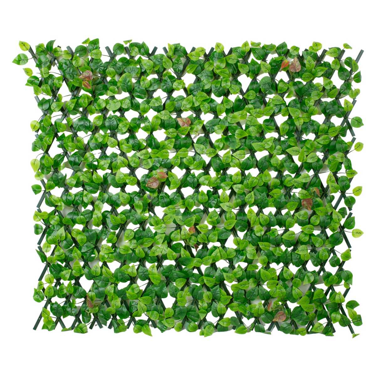 Aed GREENLAND 120cm, plastikust raam - Image 2