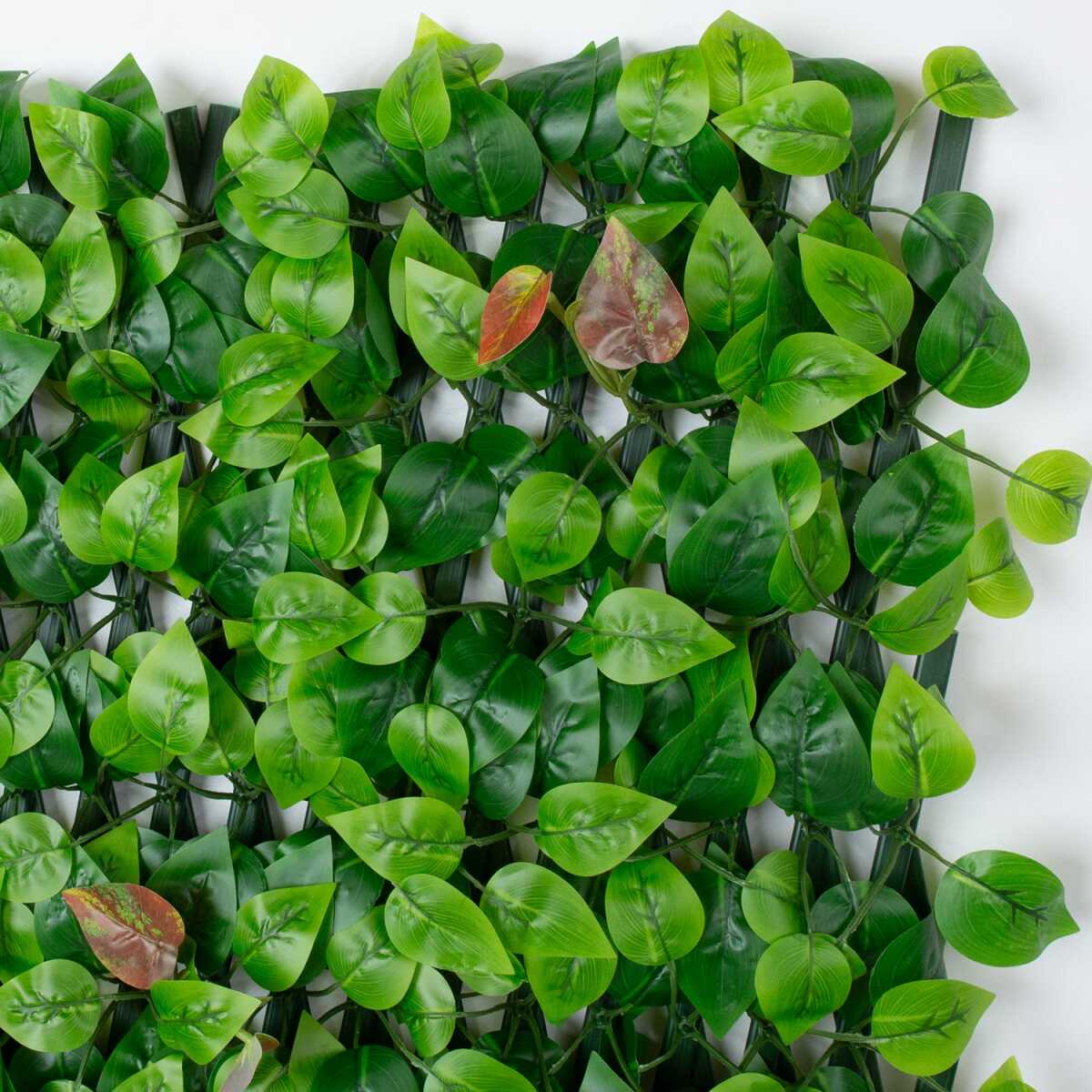 Aed GREENLAND 120cm, plastikust raam - Image 3