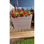 Puidust lillekast2